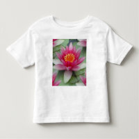 Pink Lotus Water Lily