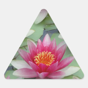 Pink Lotus Water Lily Triangle Sticker