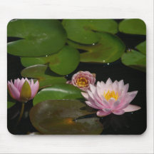Pink Lotus Waterlilies Mouse Pad