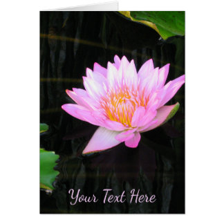Pink Lotus Waterlily