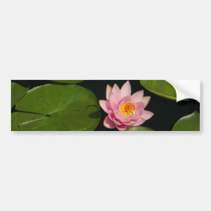 Pink Lotus Waterlily Bumper Sticker