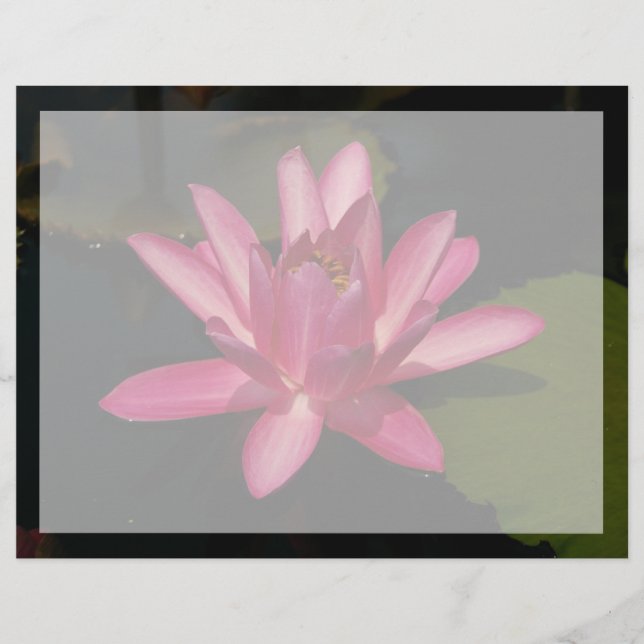 Pink Lotus Waterlily Flower (Front)