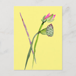 Pink Lotus Zen flower Buddhist Art Postcard