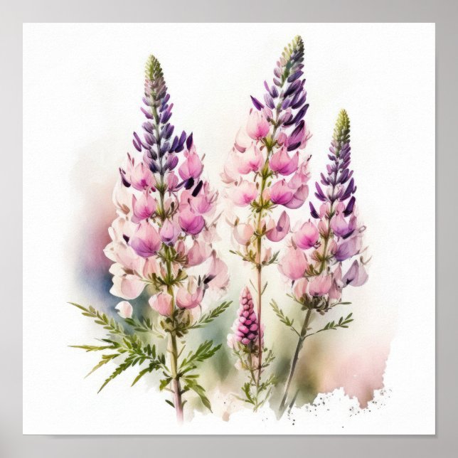 Pink Lupine Flower Art Print Poster (Front)
