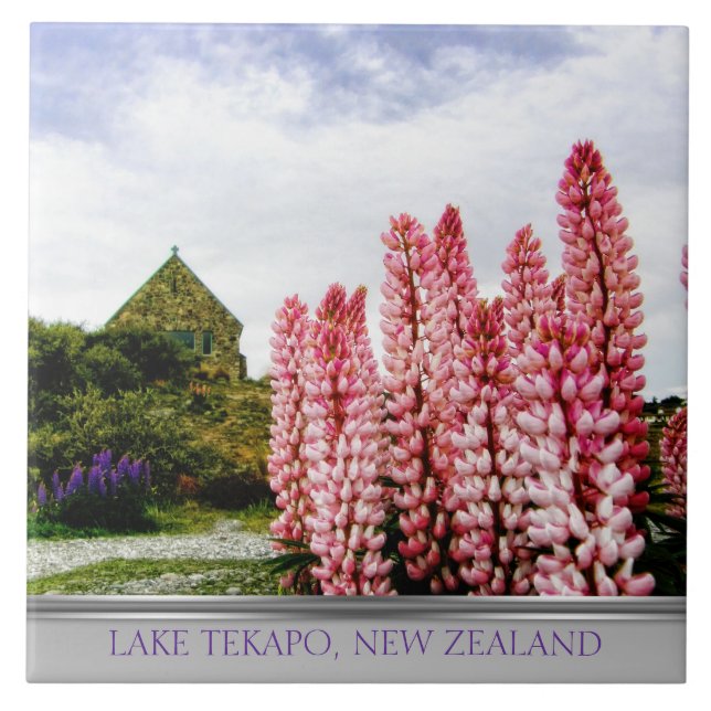 Pink Lupins @ Lake Tekapo New Zealand Tile (Front)
