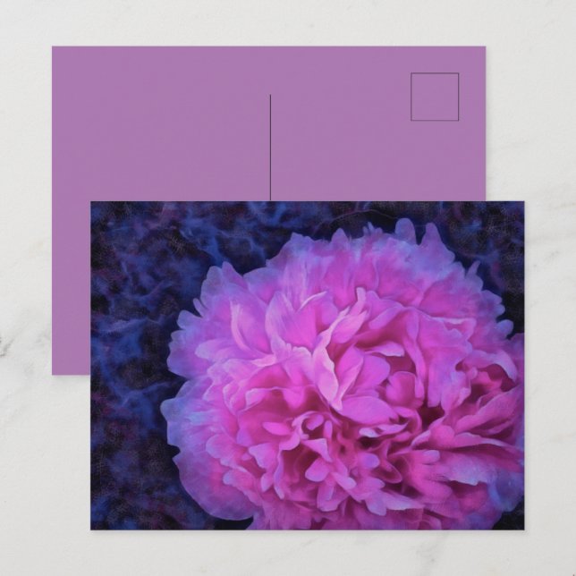 Pink Lush Peony Flower Postcard (Front/Back)