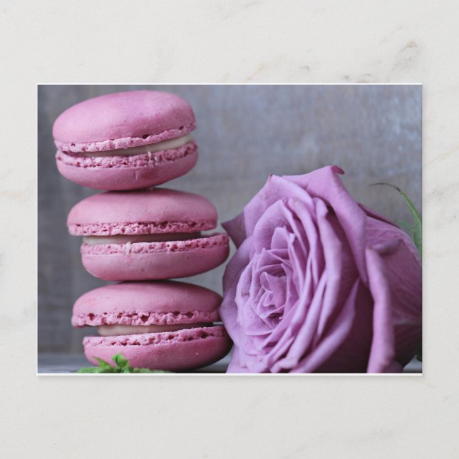 Pink Macarons Purple Rose French Pastry Postcard (Front)