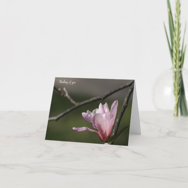 Pink Magnolia Bloom Sympathy Card (Front)