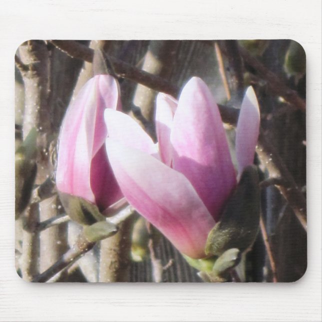 Pink Magnolia Blossom Mouse Pad (Front)