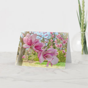 Pink Magnolia Blossoms Photo Greeting Card