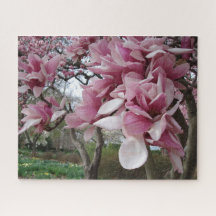 Pink Magnolia