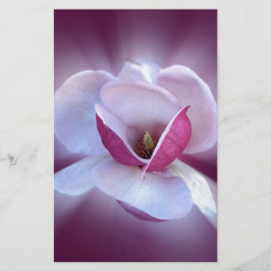 pink magnolia shades stationery