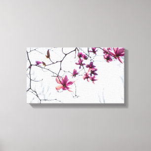 Pink magnolias canvas print