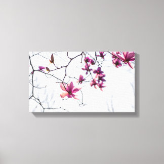Pink magnolias canvas print