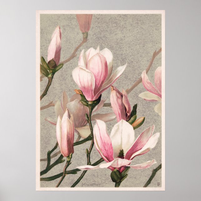 Pink Magnolias ,Vintage Poster (Front)