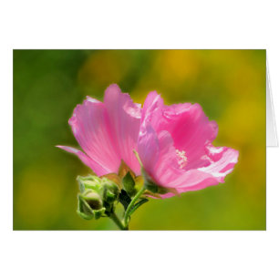 Pink Malva Pair