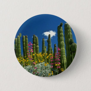 Pink Many plants, Sonoran Desert, Arizona flowers 6 Cm Round Badge