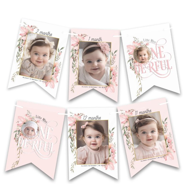 Pink miss onederful 1st birthday monthly photo ban bunting  (Pink Little Miss Onederful, Girl 1st birthday Monthly photo banner)