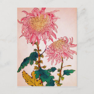 Pink Mondrian Floral Study Postcard