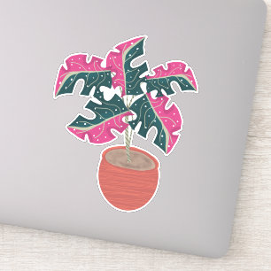 Pink Monstera Plant Hand Drawn
