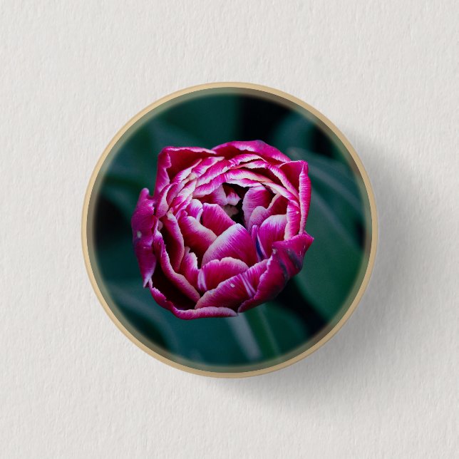 Pink moody tulip  3 cm round badge (Front)