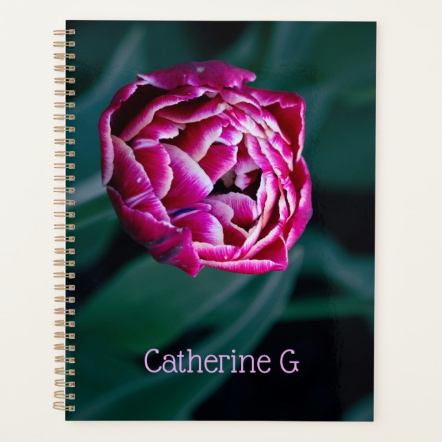Pink moody tulip planner (Front)