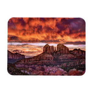 Pink Morning Glory Magnet