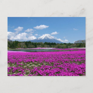 Pink moss and Mt. Fuji in the background Postcard