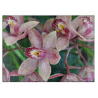 Pink moth orchids