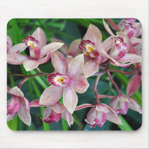 Pink moth orchids mouse pad