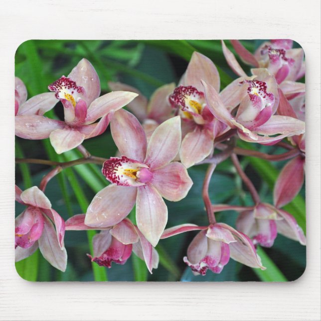 Pink moth orchids mouse pad (Front)