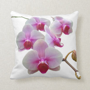 Pink Moth Orchids on White - Phalaenopsis Cushion