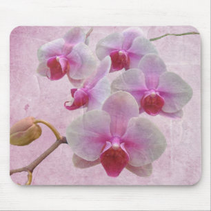 Pink Moth Orchids - Phalaenopsis Mouse Pad