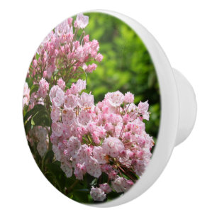 Pink Mountain Laurel Flowers Ceramic Knob