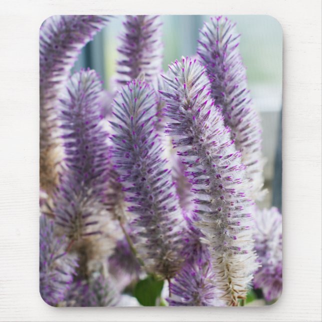 Pink Mulla Mulla Mousepad (Front)