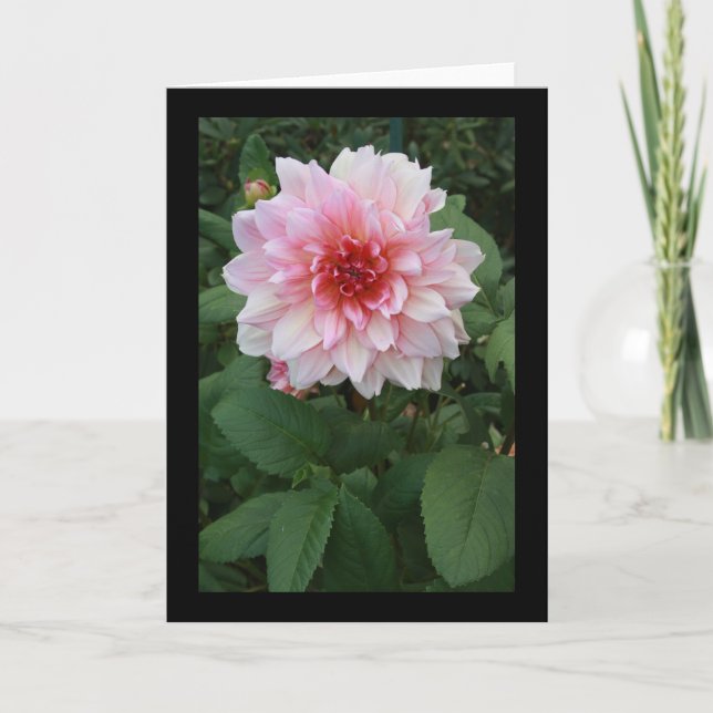 Pink Mum? Card (Front)