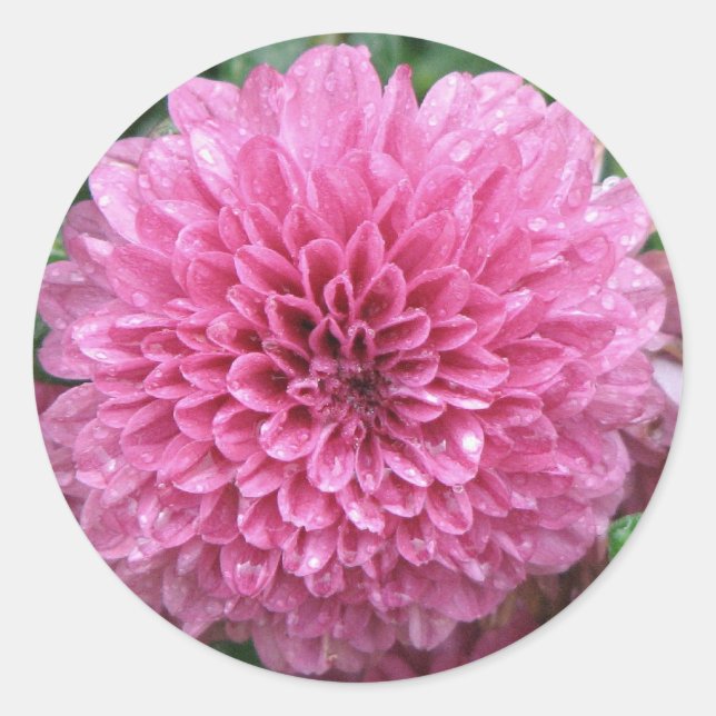 Pink Mum Classic Round Sticker (Front)