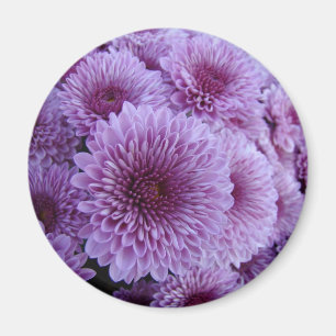 Pink Mums Magnet