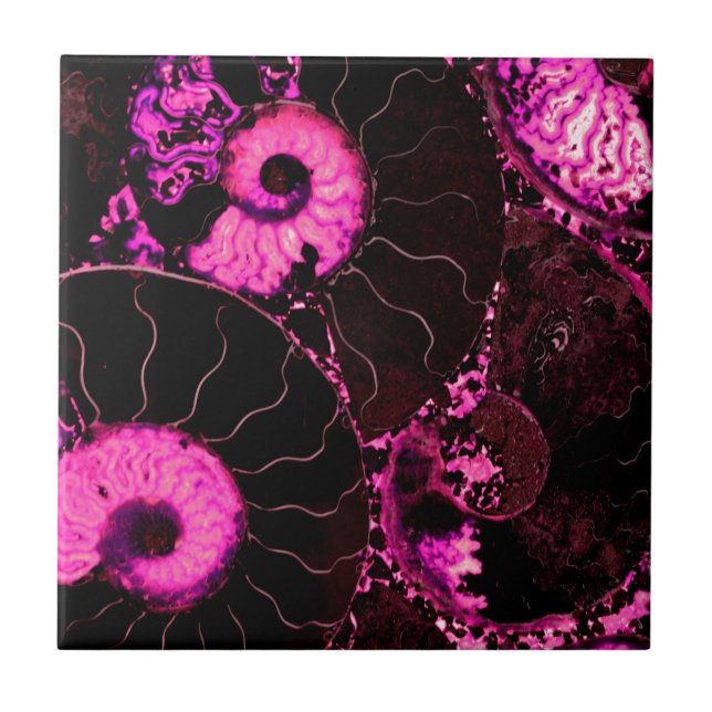 Pink Nautilus fossil shell pattern  Tile (Front)