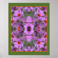 Pink New England Aster Flowers Abstract