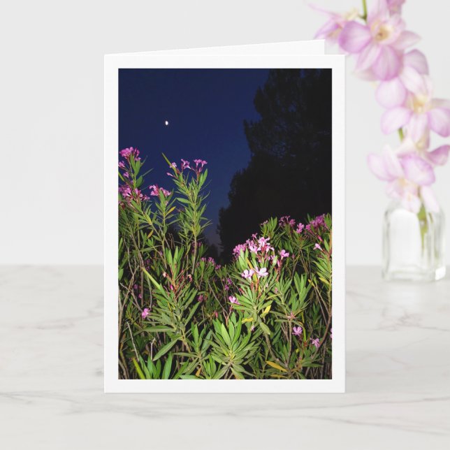 Pink Oleander at Night Card (Orchid)