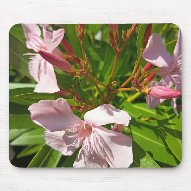 Pink Oleander Floral Mouse Pad Botanical Garden De (Front)