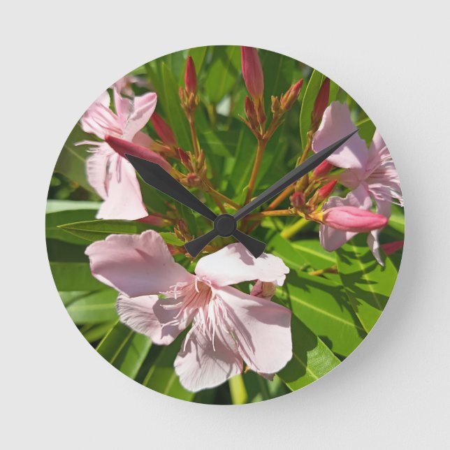 Pink Oleander Floral Wall Clock Botanical Garden H (Front)