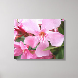 Pink Oleander Flower Canvas Print Botanical Flor