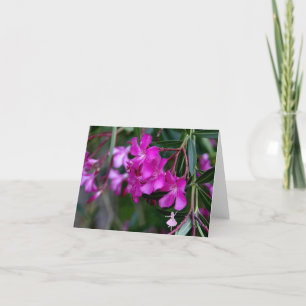 Pink Oleander Shadow Fairy Card