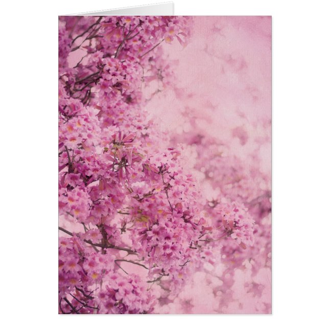 Pink On Pink (Front)