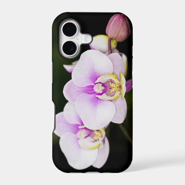 Pink Orchid (Back)