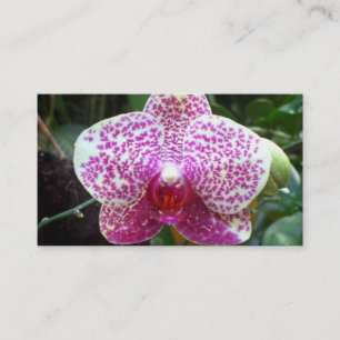Pink Orchid Business Cards