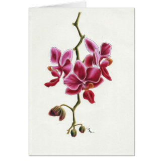 Pink Orchid Card