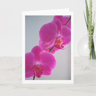 Pink Orchid Card